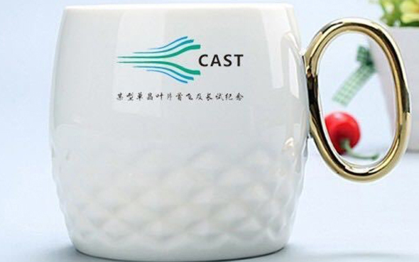 20200709--ĳ�͵���ҶƬ����׷ɼ��������