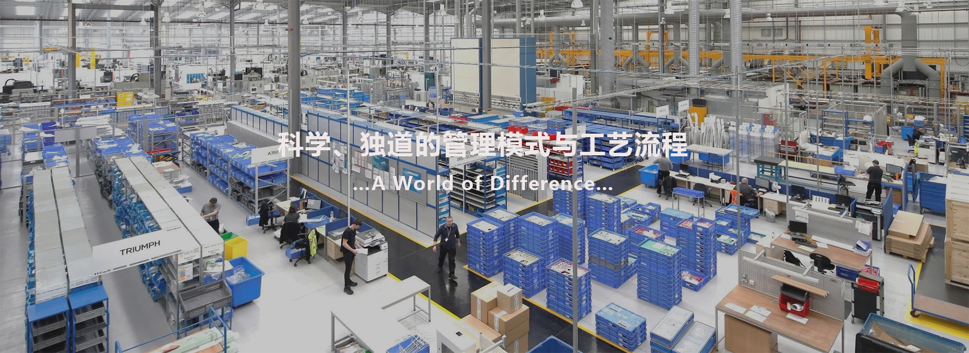 77���� �C ȫ����ȫ����̬�ȵ���������ֱ��ƽ̨